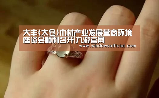 大丰(太仓)木材产业发展营商环境座谈会顺利召开|九游官网(图2) 九游