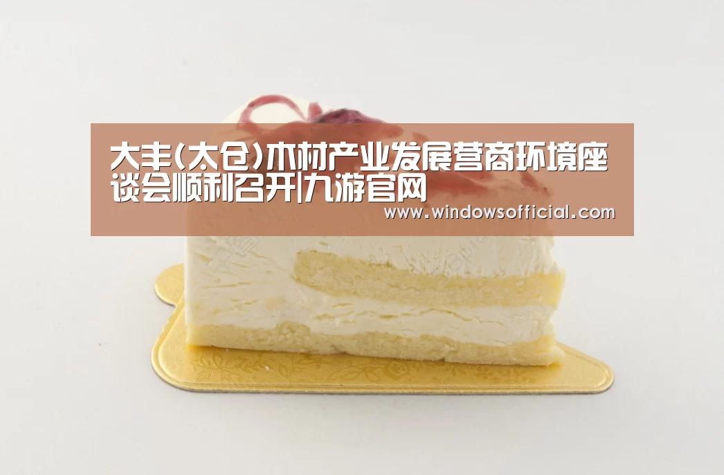 大丰(太仓)木材产业发展营商环境座谈会顺利召开|九游官网(图3) 九游app