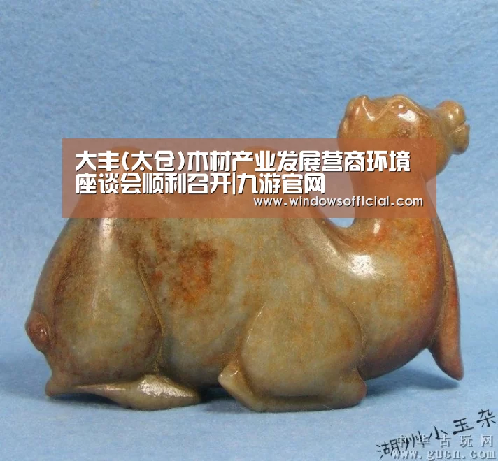 大丰(太仓)木材产业发展营商环境座谈会顺利召开|九游官网(图4) 九游官网
