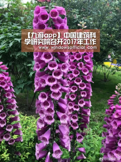 【九游app】中国建筑科学研究院召开2017年工作研讨会(图1) 九游官网